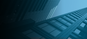 Montag Consulting Servisleri 1
