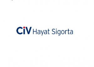 Montag Consulting, CİV Hayat Sigorta Projesi