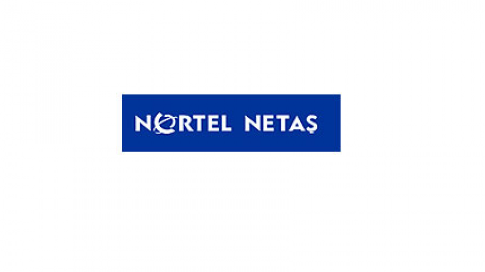 Montag Consulting, Nortel Netaş Projesi