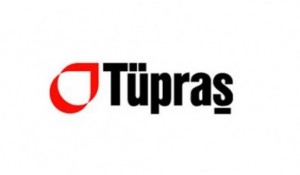Montag Consulting, Tüpraş Projesi
