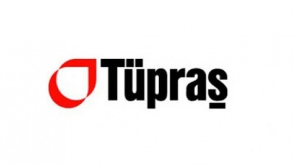 Montag Consulting, Tüpraş Projesi