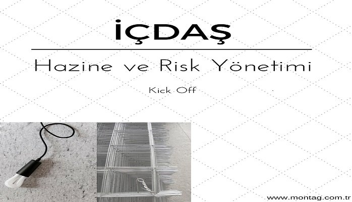 İÇDAŞ, Hazine ve Risk Yönetimi Projesi