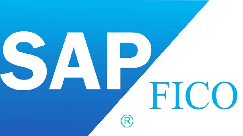 SAP Finansal Uygulamalar