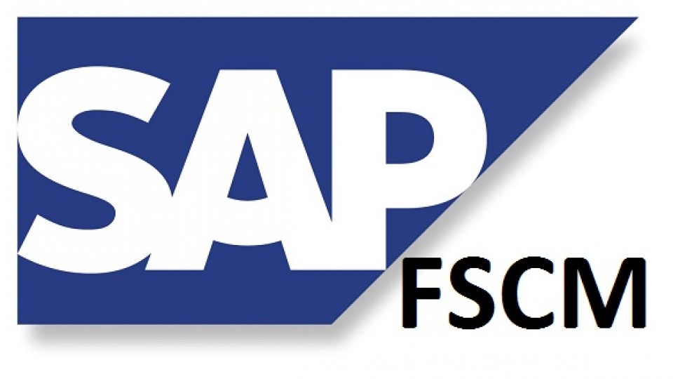 SAP Finansal Tedarik Zinciri Yönetimi (FSCM)