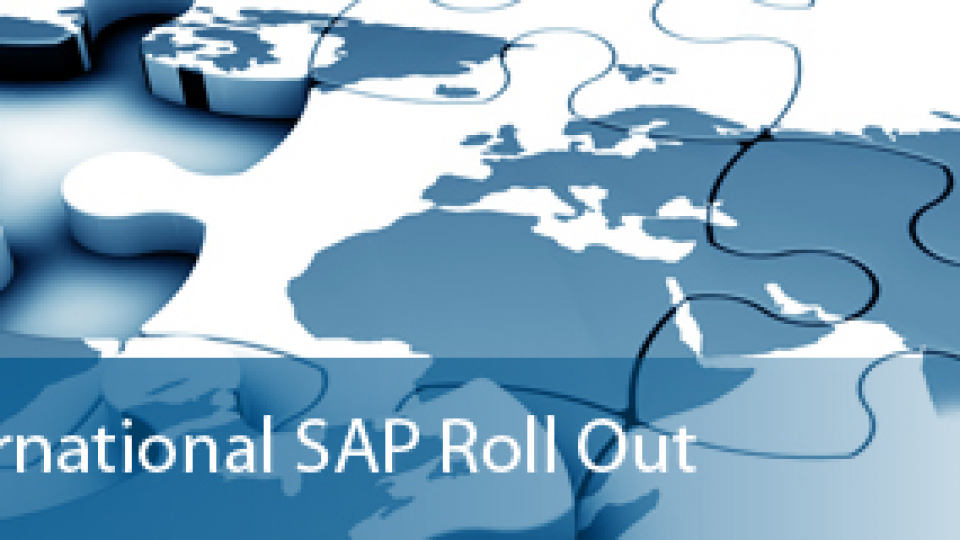 SAP Roll-Out (Yaygınlaştırma)