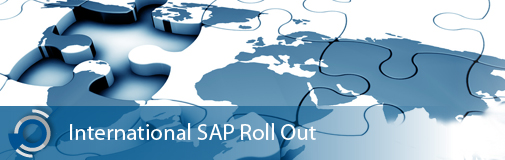 SAP Roll-Out (Yaygınlaştırma)