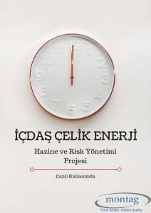 İÇDAŞ, SAP Hazine ve Risk Yönetimi Projesi